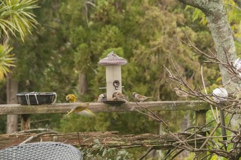 Photo of property in 47 Esk Street, Parkvale, Tauranga, 3112