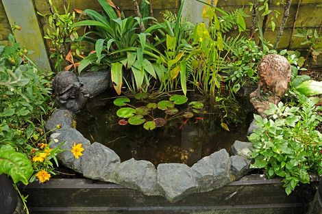 Photo of property in 43 Patrick Rice Drive, Swanson, Auckland, 0614