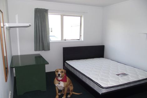 Photo of property in 91 Brockworth Place, Riccarton, Christchurch, 8011