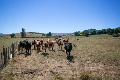 Photo of property in 4/11 Fencourt Road, Cambridge, 3496