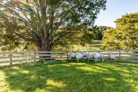 Photo of property in 168b Golden Stairs Road, Maungaturoto, 0589