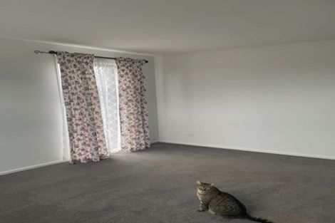 Photo of property in 29 Petries Road, Woodend, 7610