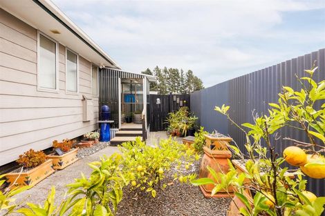 Photo of property in 24 Barton Street, Marton, 4710