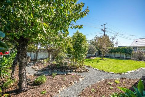 Photo of property in 8 D'arcy Street, Richmond, 7020
