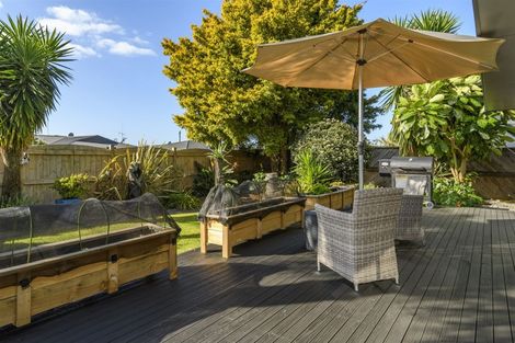 Photo of property in 21 Maihi Crescent, Maungatapu, Tauranga, 3112