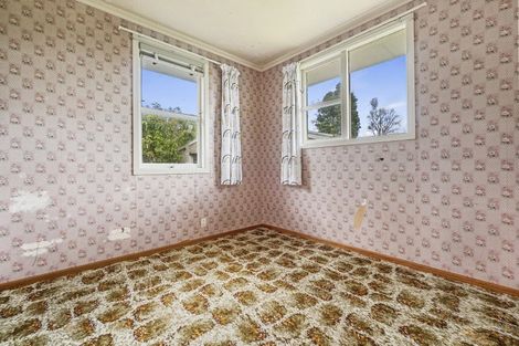 Photo of property in 98 Reservoir Street, Putaruru, 3411