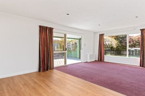 Photo of property in 196a Maxwell Road, Redwoodtown, Blenheim, 7201