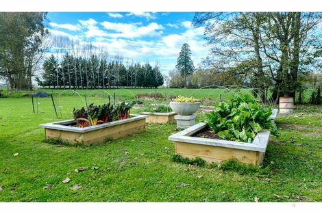 Photo of property in 51 Tancred Street, Geraldine, 7930