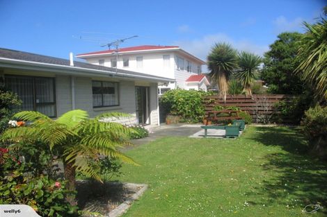 Photo of property in 47 Kings Crescent, Hutt Central, Lower Hutt, 5010