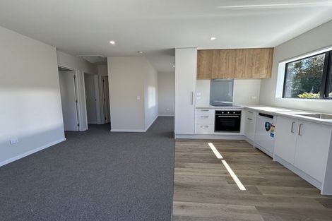 Photo of property in 45b Ryan Street, Phillipstown, Christchurch, 8011