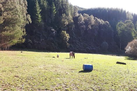 Photo of property in 316 Tadmor Valley Road, Tapawera, Wakefield, 7096