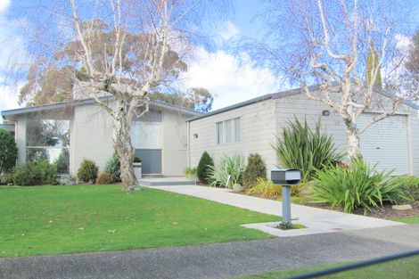 Photo of property in 37 Fairview Avenue, Feilding, 4702