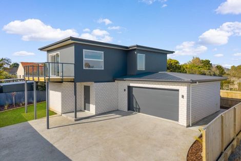 Photo of property in 41a Maxwell Avenue, Durie Hill, Wanganui, 4500