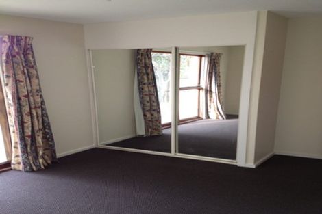 Photo of property in 19a Torrens Road, Hillmorton, Christchurch, 8024