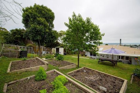 Photo of property in 16 Greenhill Road, Wakatu, Nelson, 7011
