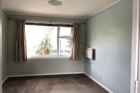 Photo of property in 9 Larsen Road, Panmure, Auckland, 1072