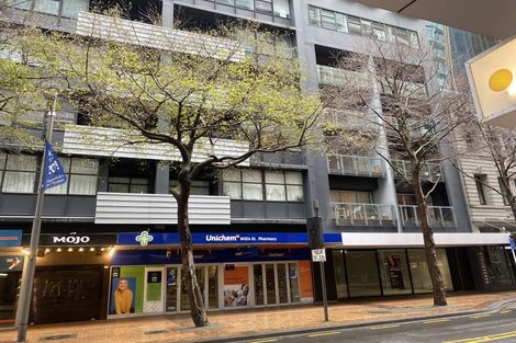 Photo of property in Gerondis Bldg Apartments, 304/60 Willis Street, Wellington Central, Wellington, 6011