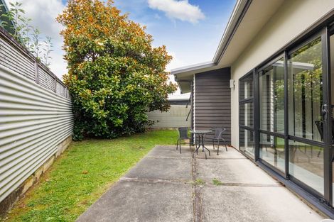 Photo of property in 12a Conway Place, Terrace End, Palmerston North, 4410