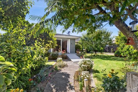 Photo of property in 29 York Street, Motueka, 7120