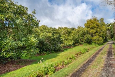 Photo of property in 51 Sinclair Road, Whakamarama, Tauranga, 3179