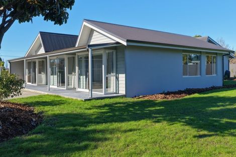 Photo of property in 172 Thorp Street, Motueka, 7120