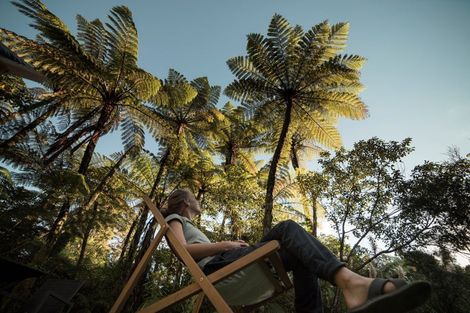 Photo of property in 251 Old Coach Road, Kaimarama, Whitianga, 3591