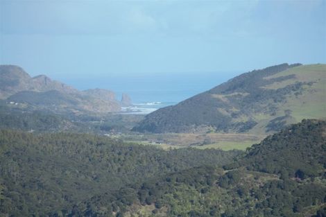 Photo of property in 71b Taiapa Valley Road, Muriwai, 0881