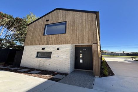 Photo of property in 25a Manson Street, Gate Pa, Tauranga, 3112