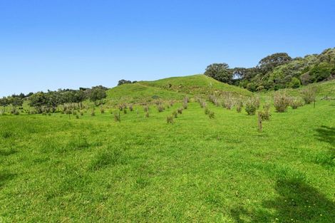 Photo of property in 59 Pohutukawa Drive, Waiotahe, Opotiki, 3198