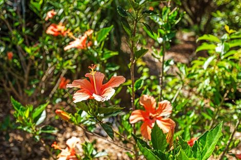 Photo of property in 80 Campbell Road, Parua Bay, Onerahi, 0192