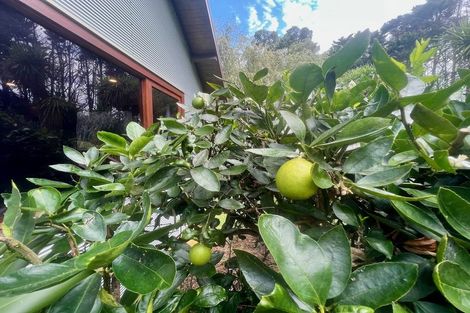 Photo of property in 91b Greenslade Road, Raglan, 3295