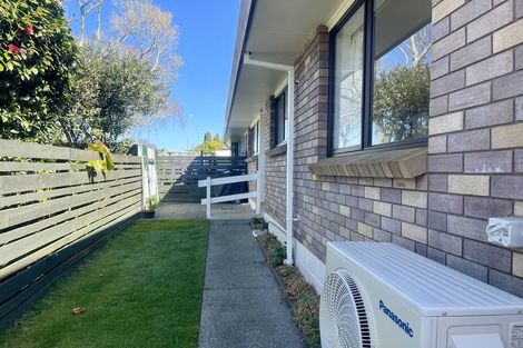Photo of property in 38 Oban Road, Greerton, Tauranga, 3112