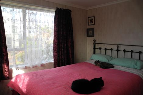 Photo of property in 3 Saul Shrives Place, Waimate, 7924