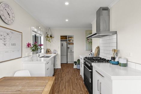 Photo of property in 15a Barratt Street, Blenheim, 7201