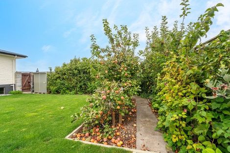 Photo of property in 48 Mountain View Road, Glenwood, Timaru, 7910