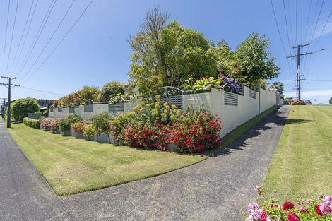 Photo of property in 50 Leslie Street, Waitara, 4320
