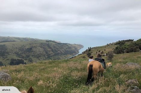 Photo of property in 64 View Hill Road, Little Akaloa, 7583