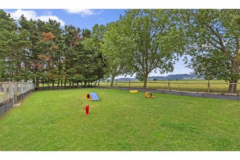 Photo of property in 349 Hauraki Road, Orongo, Thames, 3574