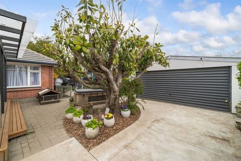 Photo of property in 39 Pembroke Street, Avondale, Christchurch, 8061