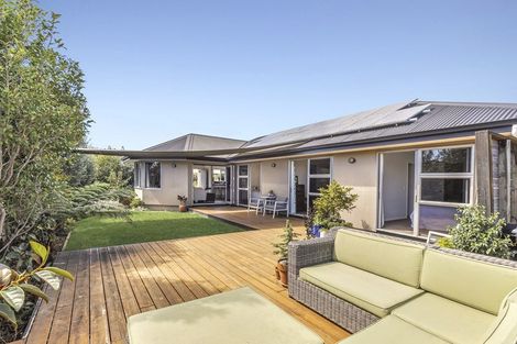 Photo of property in 14 Phoebe Place, Richmond, 7020