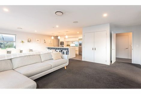 Photo of property in 29 Sunline Avenue, Lincoln, 7608