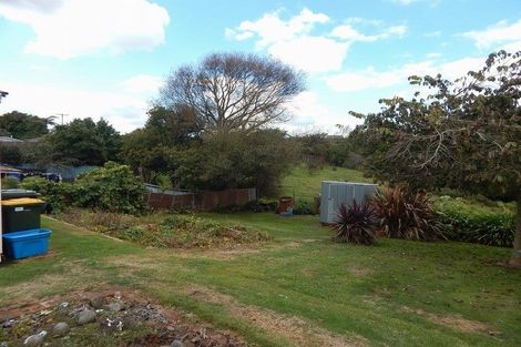 Photo of property in 118 Stanners Street, Eltham, 4322