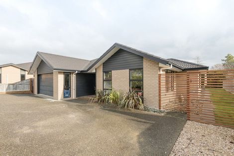 Photo of property in 38 Taranaki Place, Richmond, 7020