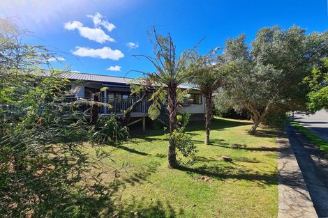 Photo of property in 20 Pagitt Street, Coromandel, 3506