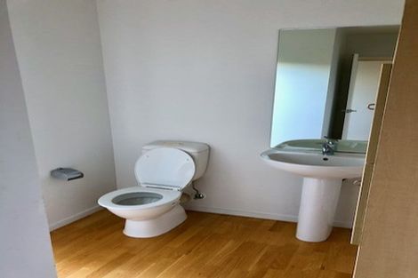 Photo of property in 3a Liverpool Street, Epsom, Auckland, 1023