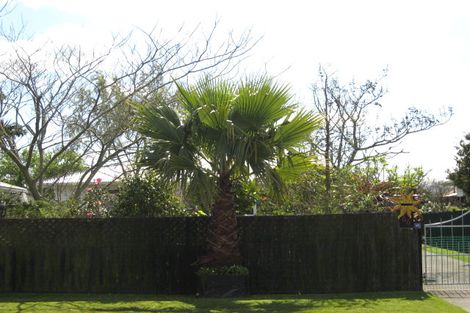 Photo of property in 66 Paki Street, Huntly, 3700