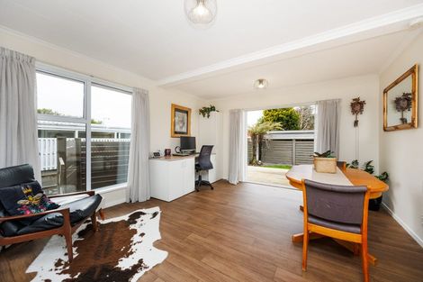 Photo of property in 393 Ruahine Street, Terrace End, Palmerston North, 4410