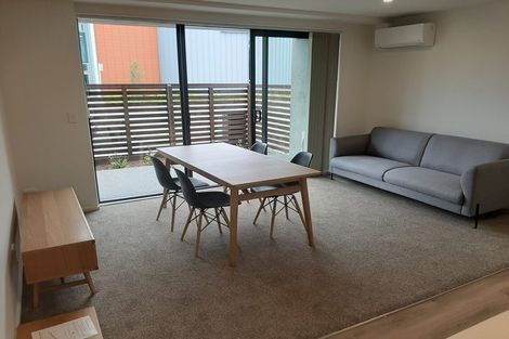 Photo of property in 118 Salisbury Street, Ashhurst, 4810