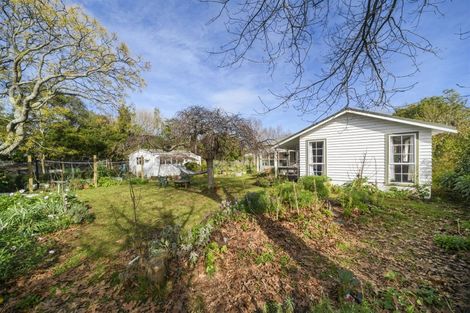 Photo of property in 136 Winchester Street, Ashhurst, 4810