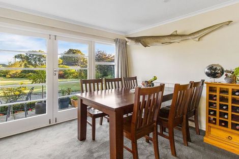 Photo of property in 20 King Street, Waimate, 7924